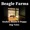 Beagle - Daydream | Anja Live