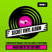 The Secret Vinyl Album, Vol. 1 (DJ MIX) artwork