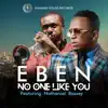 No One Like You (feat. Nathaniel Bassey) - Single album lyrics, reviews, download