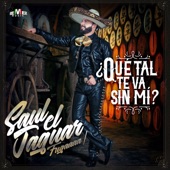 ¿Qué Tal Te Va Sin Mí? artwork