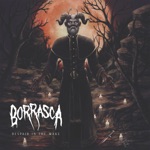 Borrasca - Profit and Harvest
