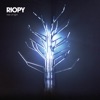 RIOPY - Peace of Mind