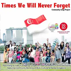 Times We Will Never Forget - Single by The Various Races Sg Community, Suri, Sarah, DZul, Farizan, Rakesh, Shariff, Addy, Shahnazron & Fairoz album reviews, ratings, credits