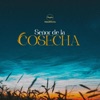 Señor De La Cosecha - Single