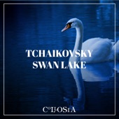 Tchaikovsky Swan Lake artwork