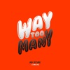 Way Too Many (feat. Niko Eme) - Single