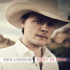 Ned LeDoux - Next in Line artwork