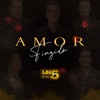 Amor Fingido - Single