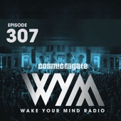 Wake Your Mind Radio 307 artwork