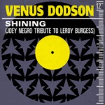 Shining (Joey Negro Tribute To Leroy Burgess) - Single