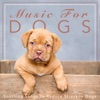 Music for Dogs: Soothing Songs to Reduce Stress in Dogs