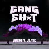 Gang Shit (feat. Lil Toe) artwork