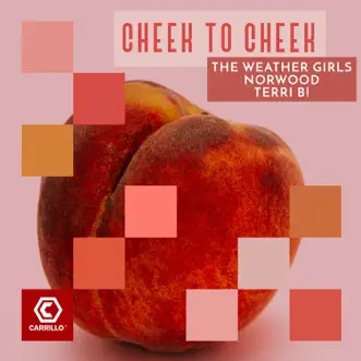 Cheek to Cheek (Mixes) by The Weather Girls, Norwood & Terri B! album reviews, ratings, credits