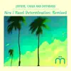 Aira & Hazel Determination: Remixed - EP album lyrics, reviews, download