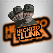 Hechizo de Luna artwork