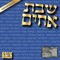 Yehi Chasdecho (feat. Sheves Achim Family) - Avi Fishoff lyrics