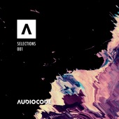 Audiocode Selections Comp001 artwork