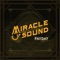 Payday - Miracle of Sound lyrics