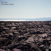 The New Cycle artwork