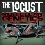 The Locust - Flash's Theme
