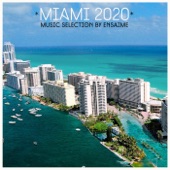 Miami 2020 artwork