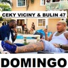 Domingo (feat. Ceky Viciny) - Single