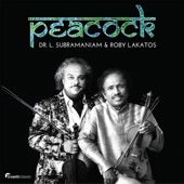 Dharmavathi (feat. Kavita Krishnamurthy, Tanmoy Bose, Frijo Francis, DSR Murthy & Jeno Lisztes) artwork