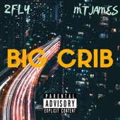 Big Crib (feat. Mtjames) artwork