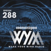 Wake Your Mind Radio 288 artwork