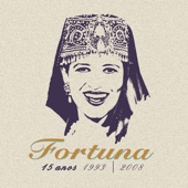 Fortuna 15 Anos (1993-2008) artwork