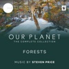 Forests (Episode 8 / Soundtrack From the Netflix Original Series 