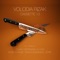 Cassette 13 - Volodia Rizak lyrics