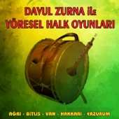 Davul Zurna İle Yöresel Halk Oyunları (Ağrı, Bitlis, Van, Hakkari, Erzurum) artwork
