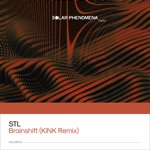 STL - Brainshift