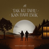 Tak Ku Tahu Kan Hari Esok artwork