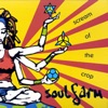 Soulfarm - Why Must We Wait