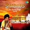 Shabads, Vol. 8