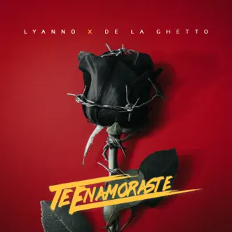 Te Enamoraste by Lyanno & De La Ghetto song reviws