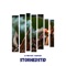 Storhedstid (feat. Taahyler) - DJ FMD lyrics