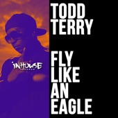 Fly Like an Eagle (Extended Mix) artwork