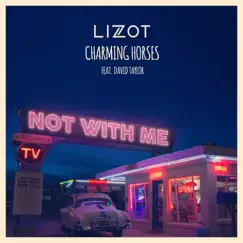 Not With Me (feat. David Taylor) - Single by LIZOT, Charming Horses & David Taylor album reviews, ratings, credits