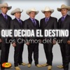 Los Chamos del Sur - La Traicionera del Amor