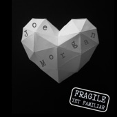 Fragile Yet Familiar artwork