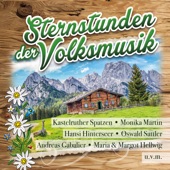 Sternstunden der Volksmusik artwork