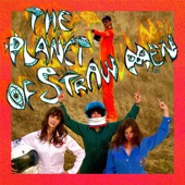 Tropical Fuck Storm - The Planet of Straw Men