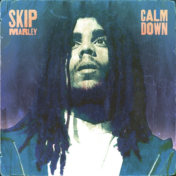 Cover artwork for Calm Down
