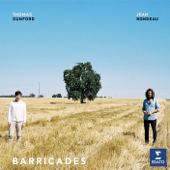 Barricades cover
