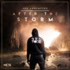 After the Storm - Single