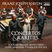 Haydn: Concertos & Rarities artwork