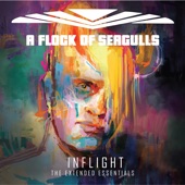 A Flock of Seagulls - Modern Love Is Automatic